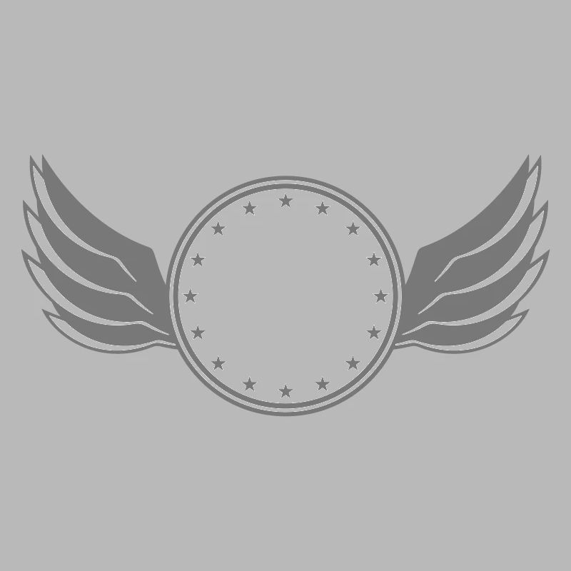 star circle frame round wing ring shield shield