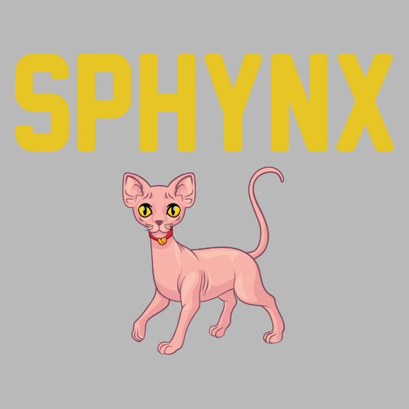 Sphynx Chat 2