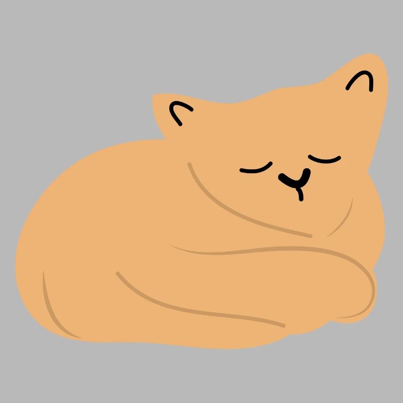 Bébé chat endormi2