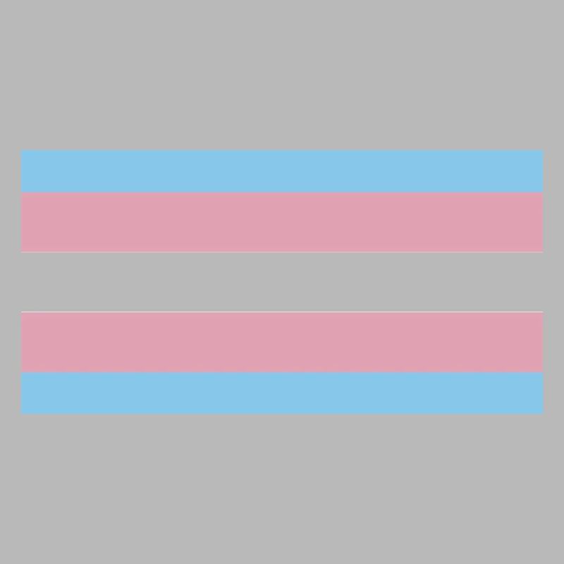 trans pride
