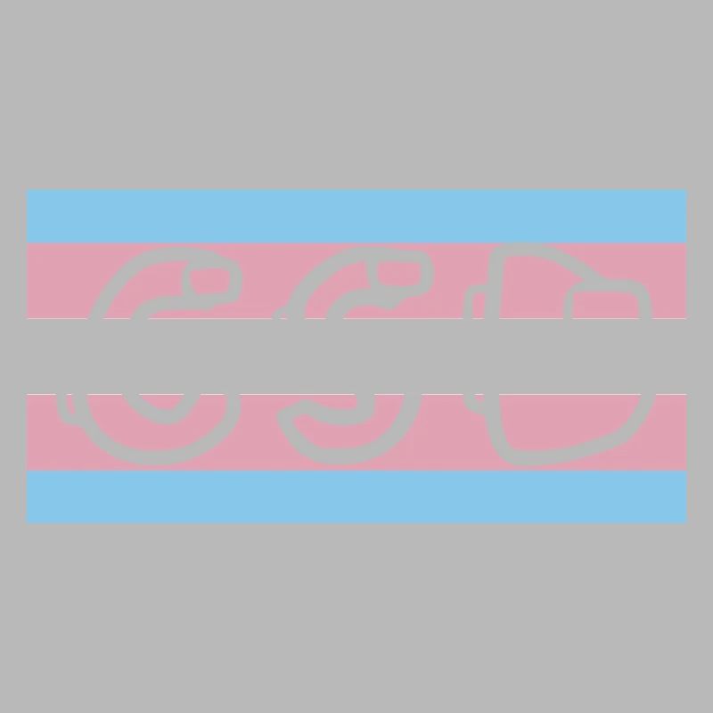 trans pride flag csd