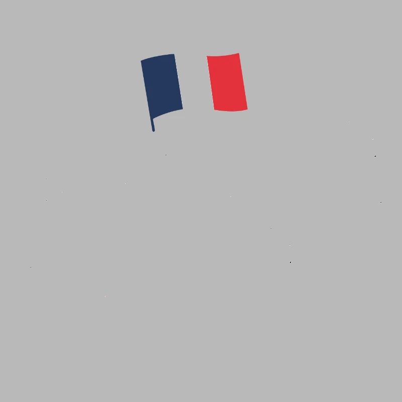 Je vous ai compris