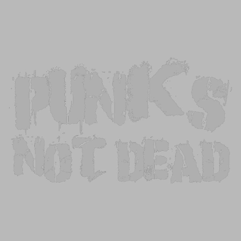 Punks not Dead