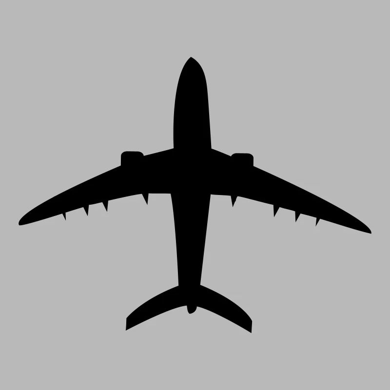 Flugzeug