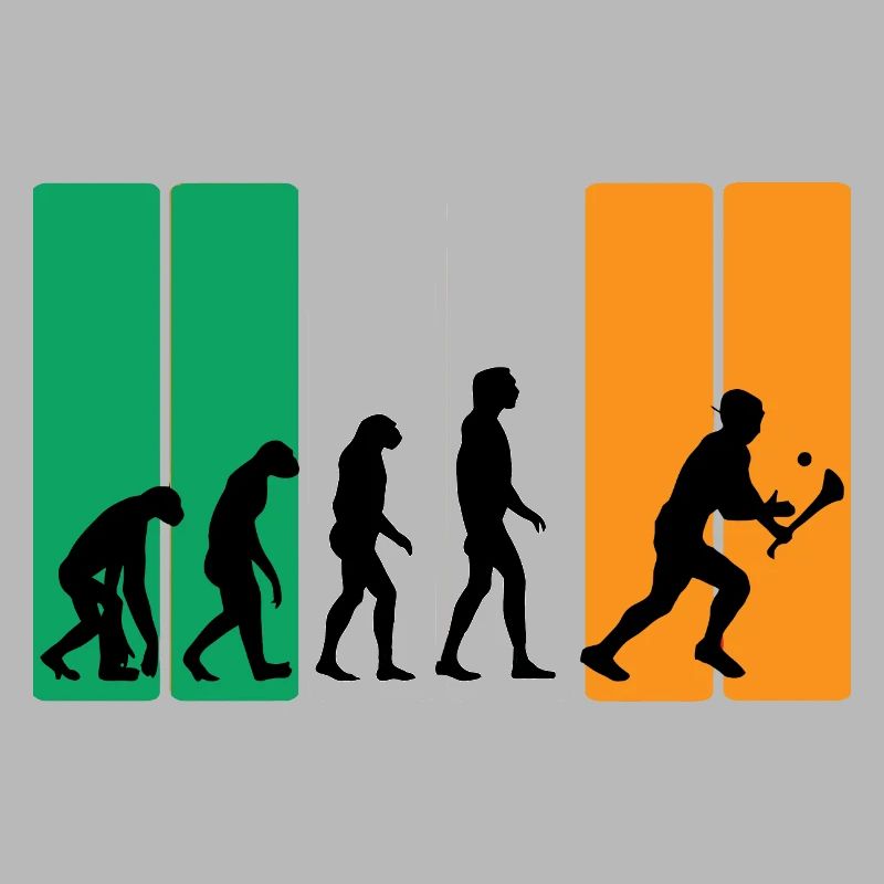 L’évolution du hurling