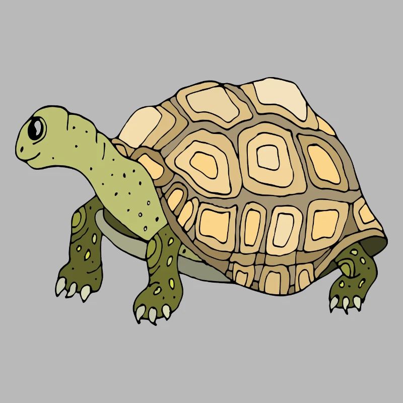 Tortoise