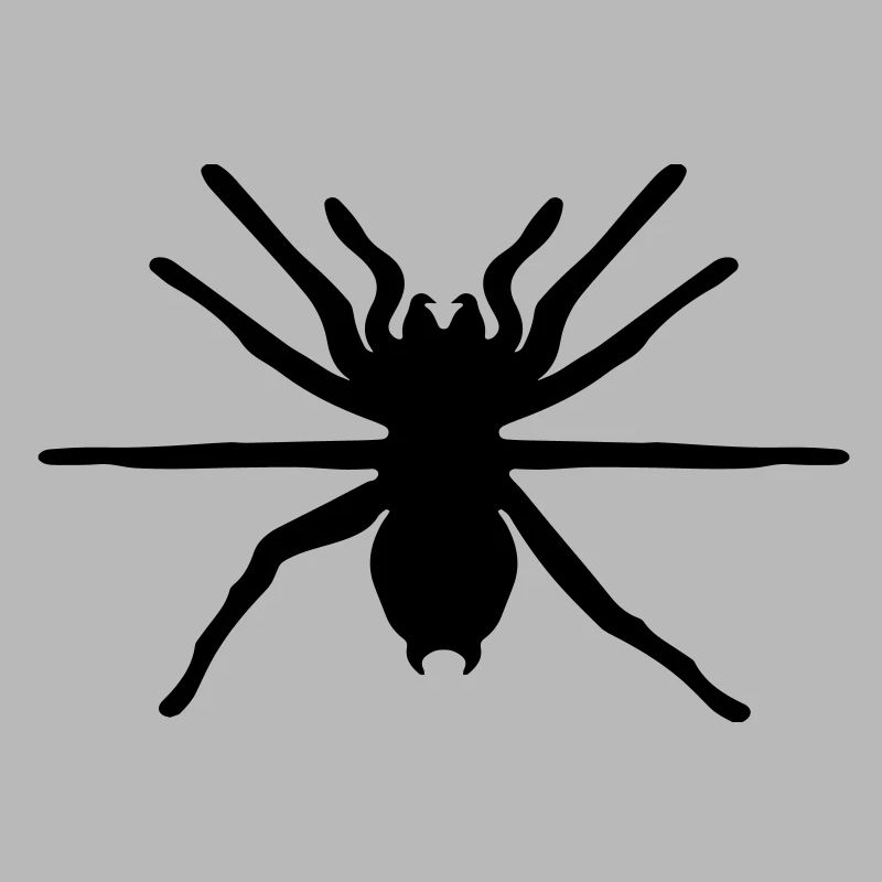 spinne