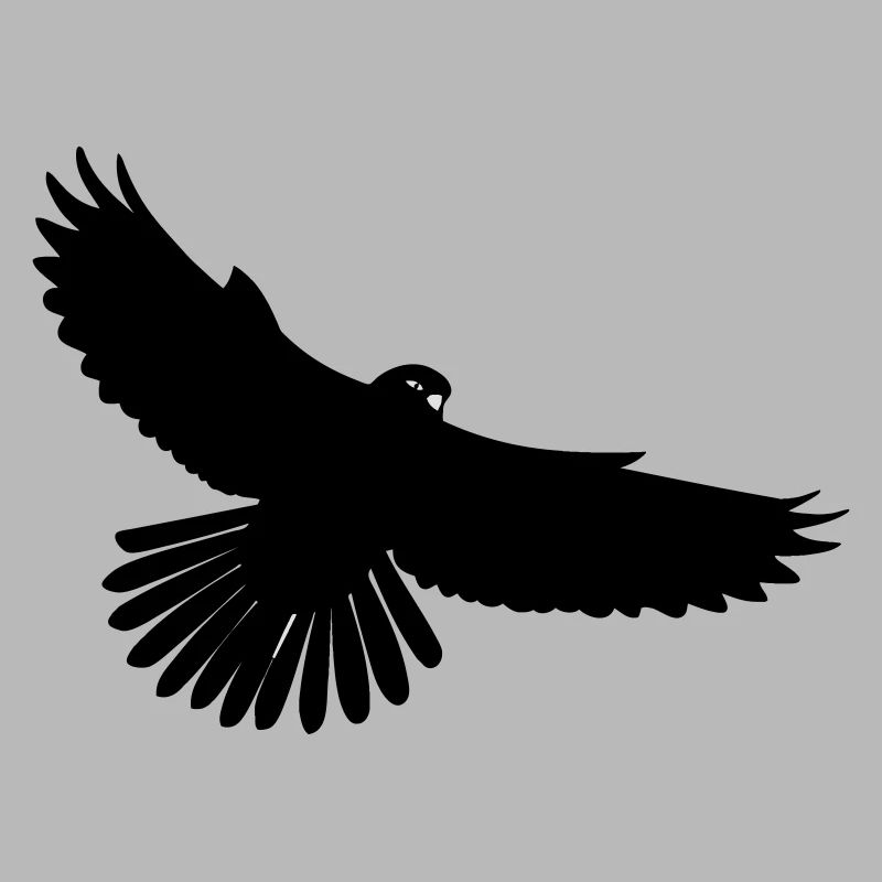 Schwarzer Vogel