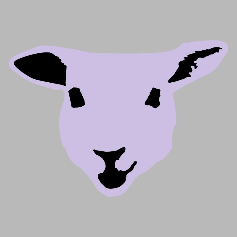 sheep, lamb