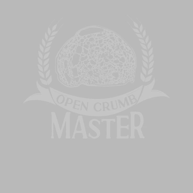 Baking Baker Sourdough Bread Open Crumb Master
