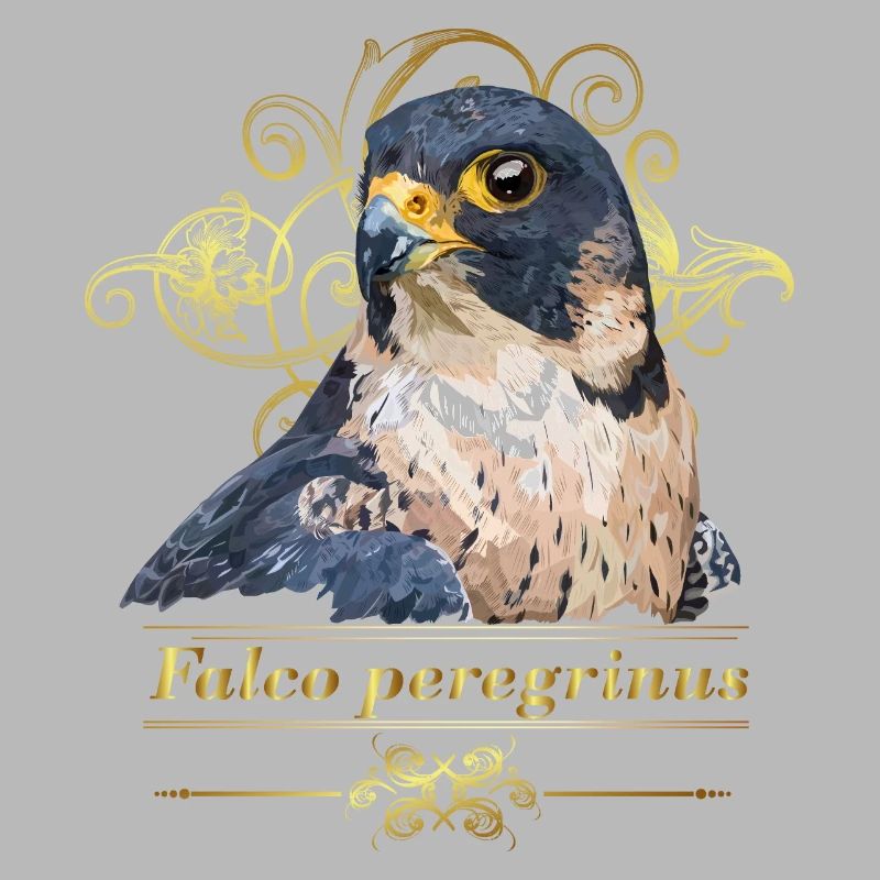 Faucon