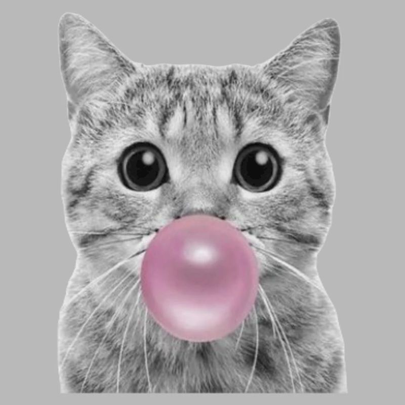 Bubble Katze