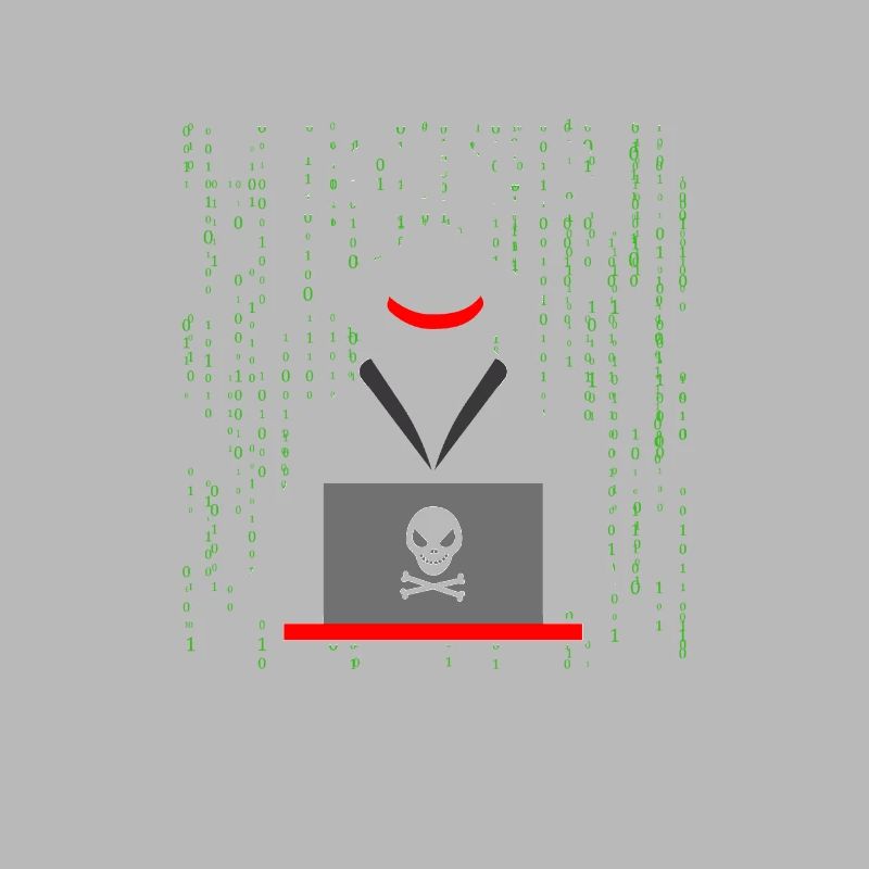 Cybersecurity Professional Hacker Cracking Codes