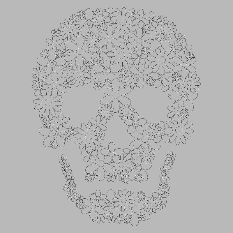 Fleur de crâne blanc