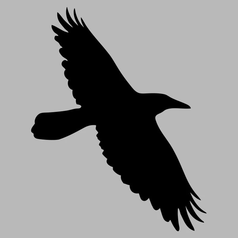 Krähe Rabe Corvus Vogel im Flug