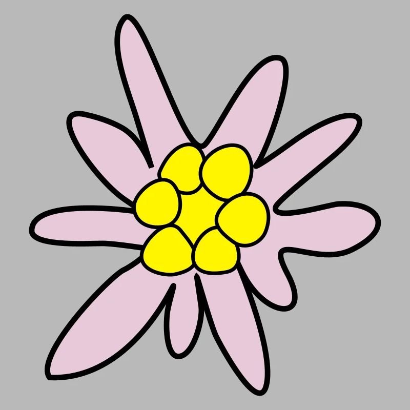 Edelweiss