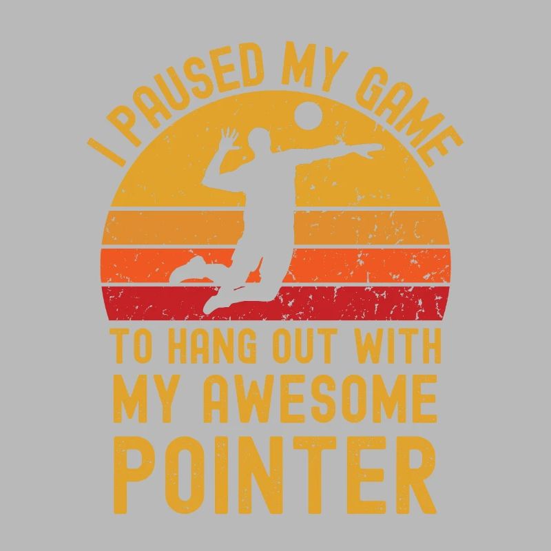 Volleyball et Pointer