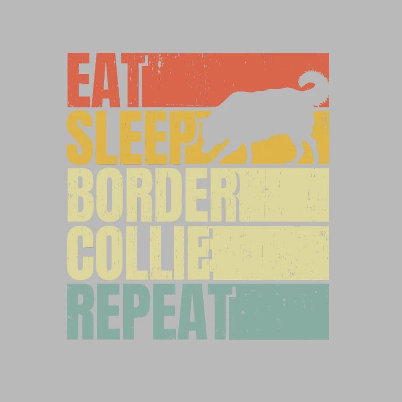 Manger dormir Border-collie répéter
