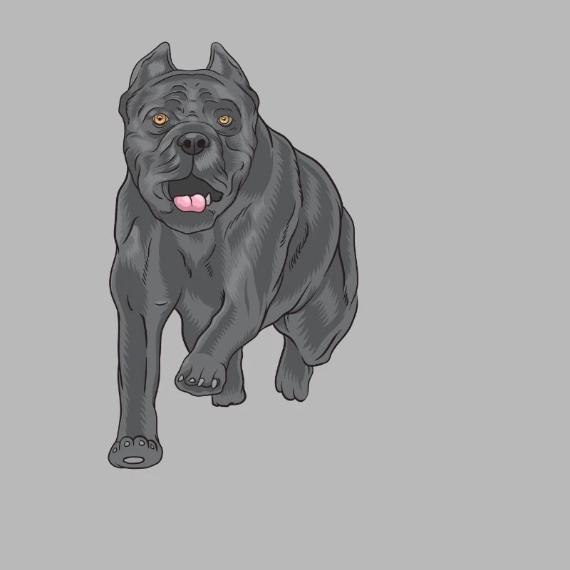 Cane corso