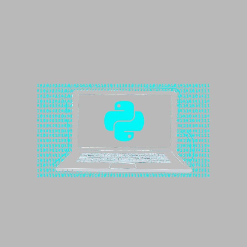 Coding Experte Coder Programmieren Programmierer