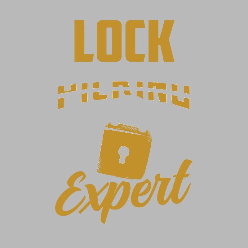 Lockpicking Expert Cracking Lock Lock Picking