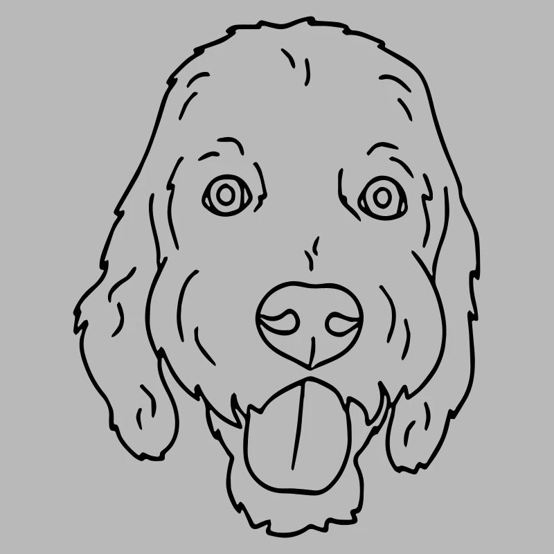 Hund