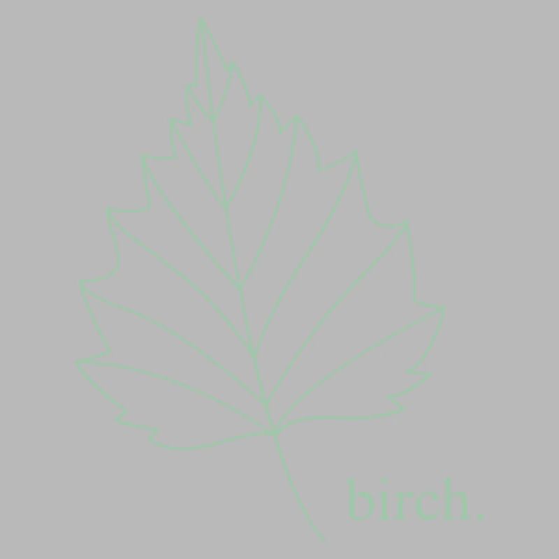 birch.