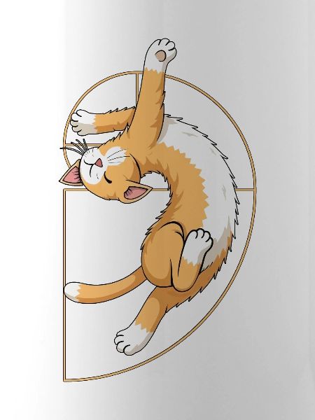 Fibonacci Spiral Cat