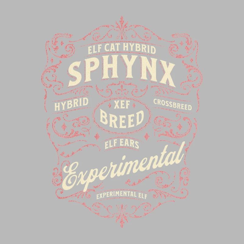 Elfe Sphynx Chat