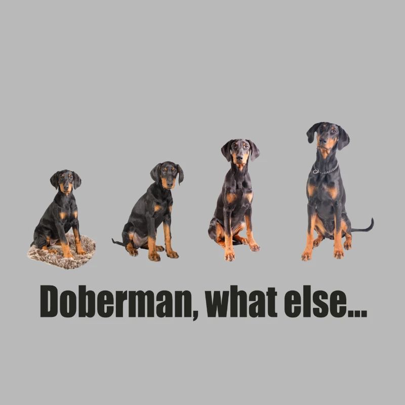 Doberman, what else...