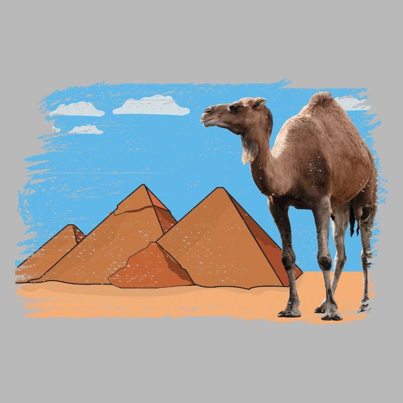 Chameau devant les pyramides