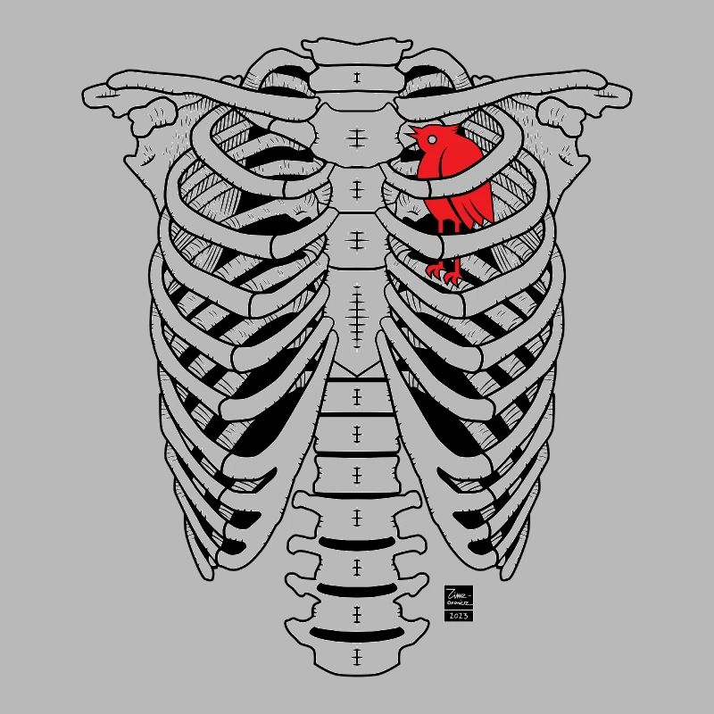 SKELETON