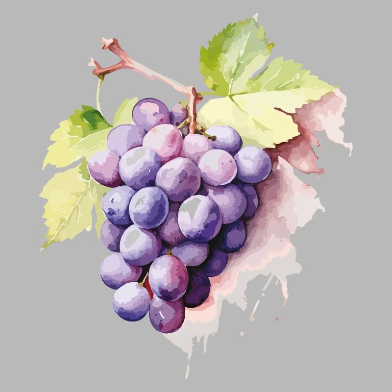 Grappe d’aquarelle de raisins