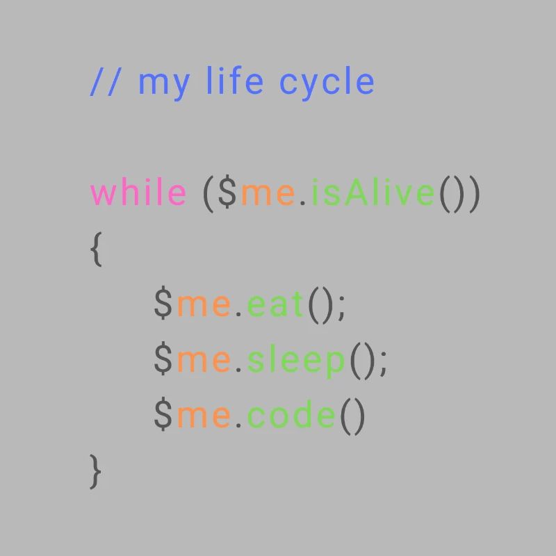 my life cycle dev