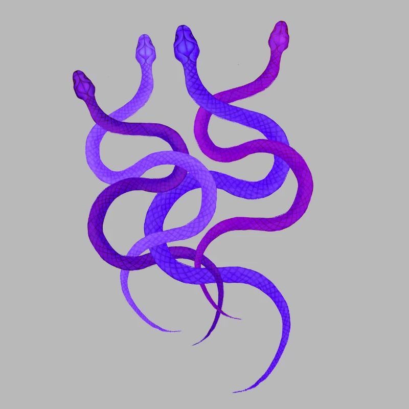 Einfaches Schlangendesign, 4 wilde Pythons