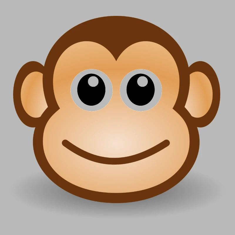 Monkey Face Gift Idea