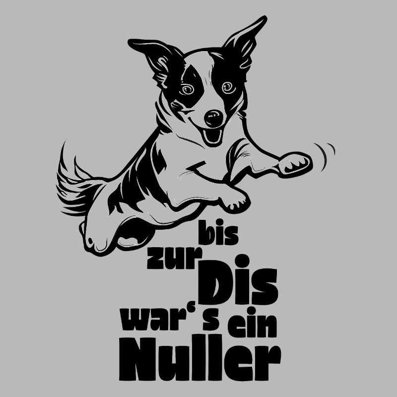 Nuller Agility