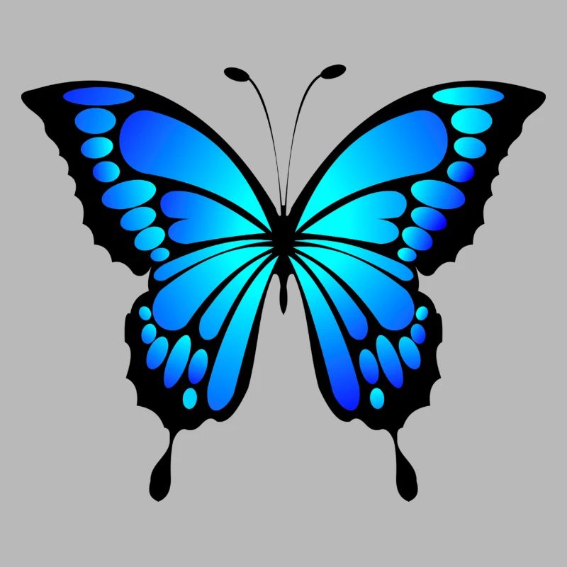 Blue butterfly gift idea