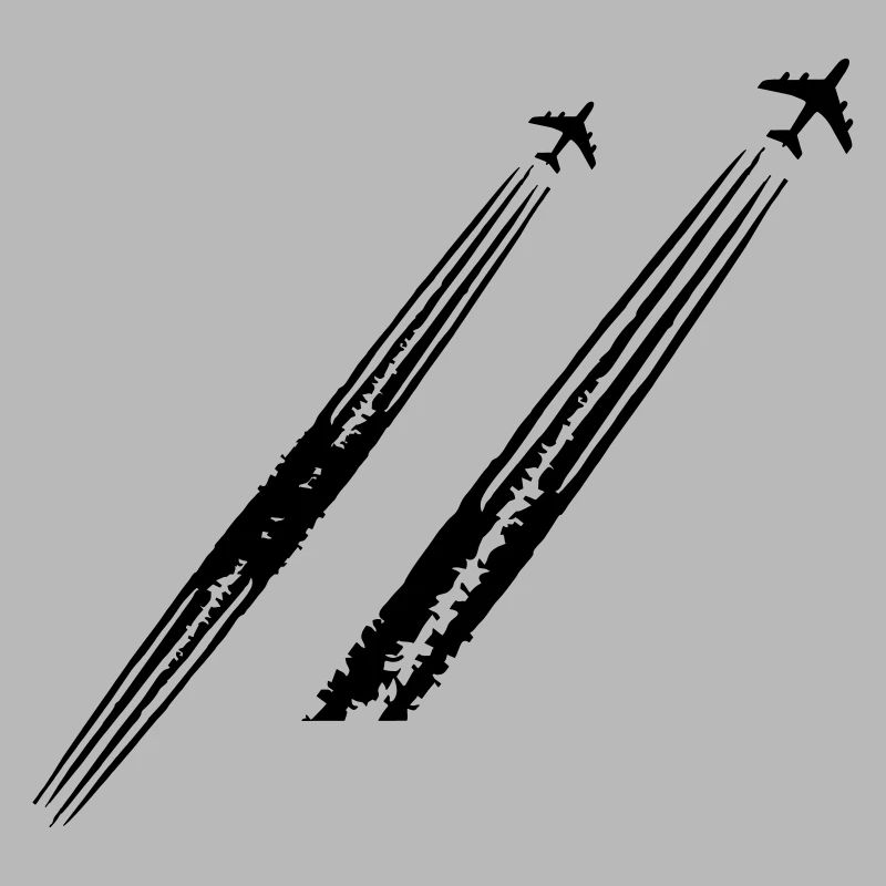 Plane Pilot Pilot's Claim Spotter