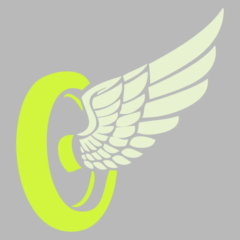 Aile de roue
