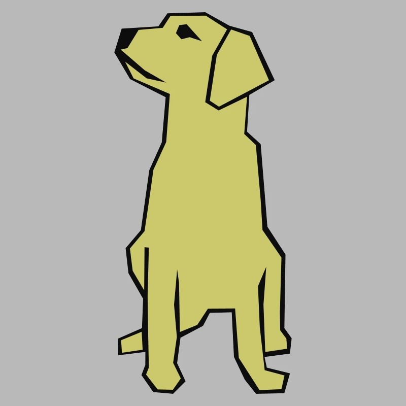 Labrador / Guide Dog