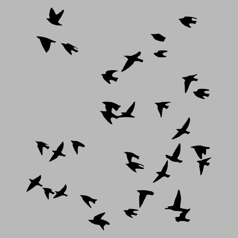Bird flock flies