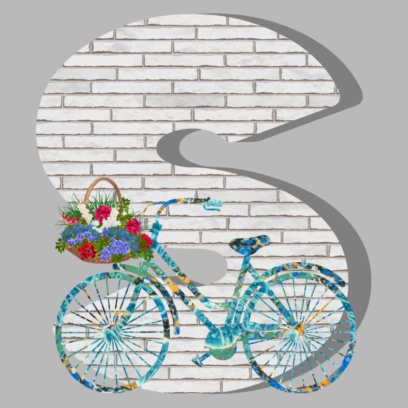 vélo e 100 s