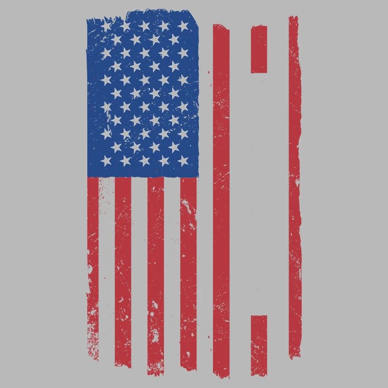 Reader Us Flag Reading
