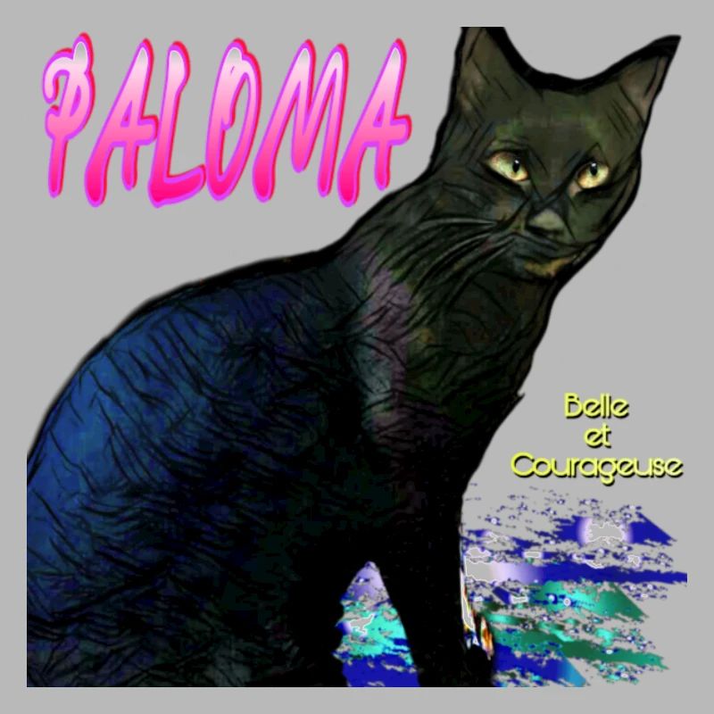 0 chatte
