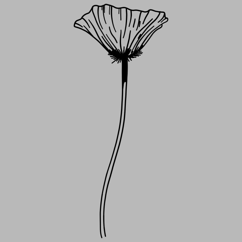 Mohn Blume