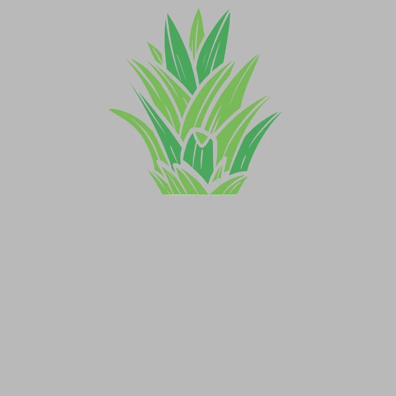 Math Pi-Pineapple Pi
