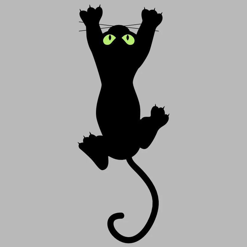 Cat fun