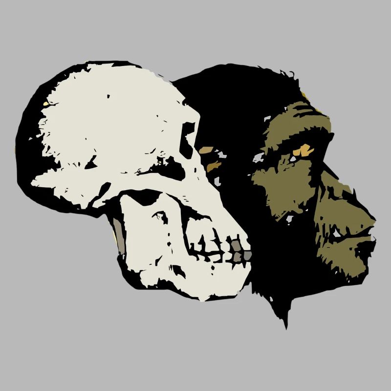Evolution