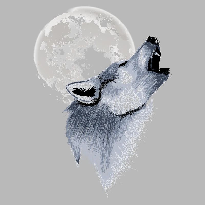 Howling Wolf Full Moon Moon